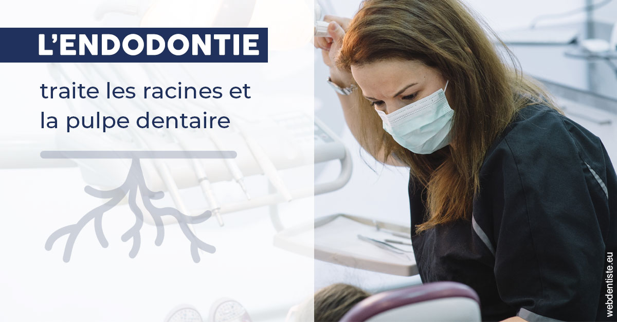 https://www.dentistesmerignac.fr/L'endodontie 1