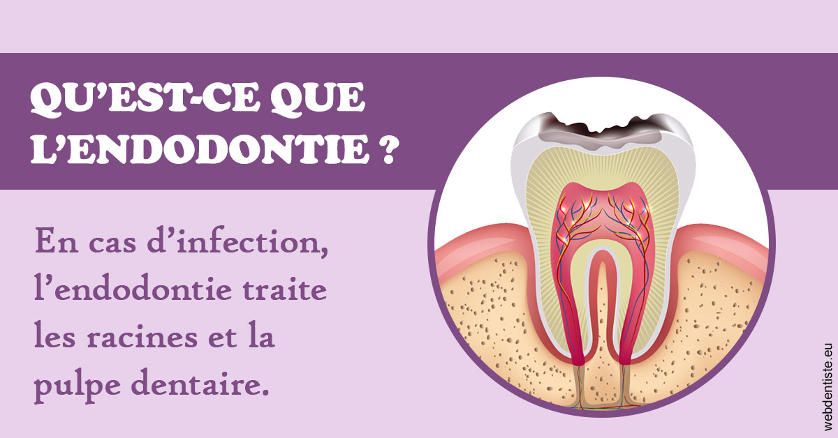 https://www.dentistesmerignac.fr/2024 T1 - Endodontie 02
