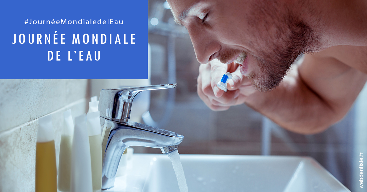 https://www.dentistesmerignac.fr/Journée de l'eau 2