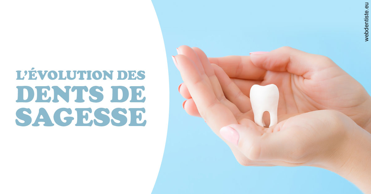 https://www.dentistesmerignac.fr/Evolution dents de sagesse 1