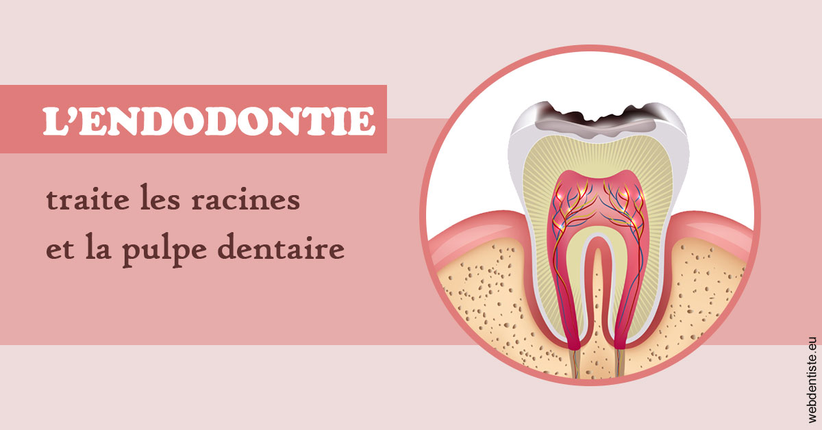 https://www.dentistesmerignac.fr/L'endodontie 2
