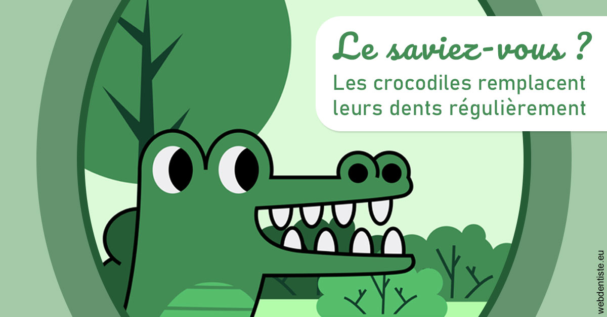 https://www.dentistesmerignac.fr/Crocodiles 2