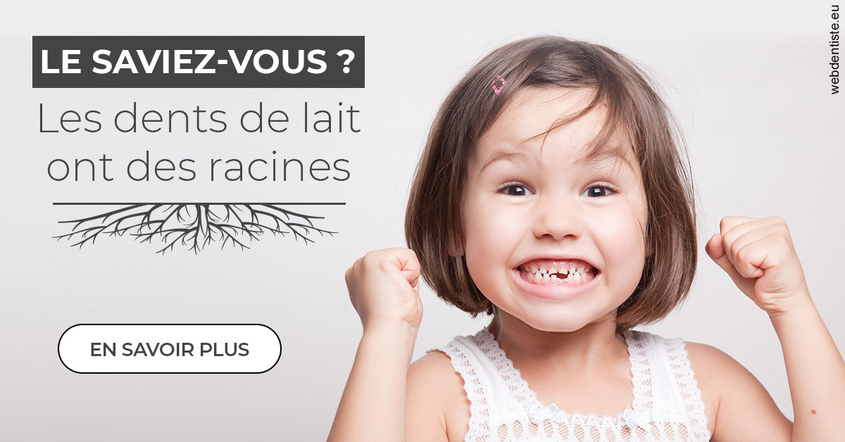 https://www.dentistesmerignac.fr/Les dents de lait