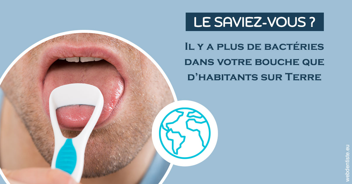 https://www.dentistesmerignac.fr/Bactéries dans votre bouche 2