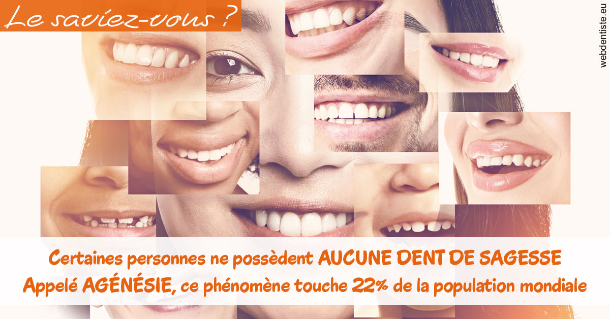 https://www.dentistesmerignac.fr/Agénésie 2
