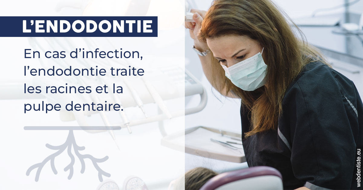 https://www.dentistesmerignac.fr/L'endodontie 1