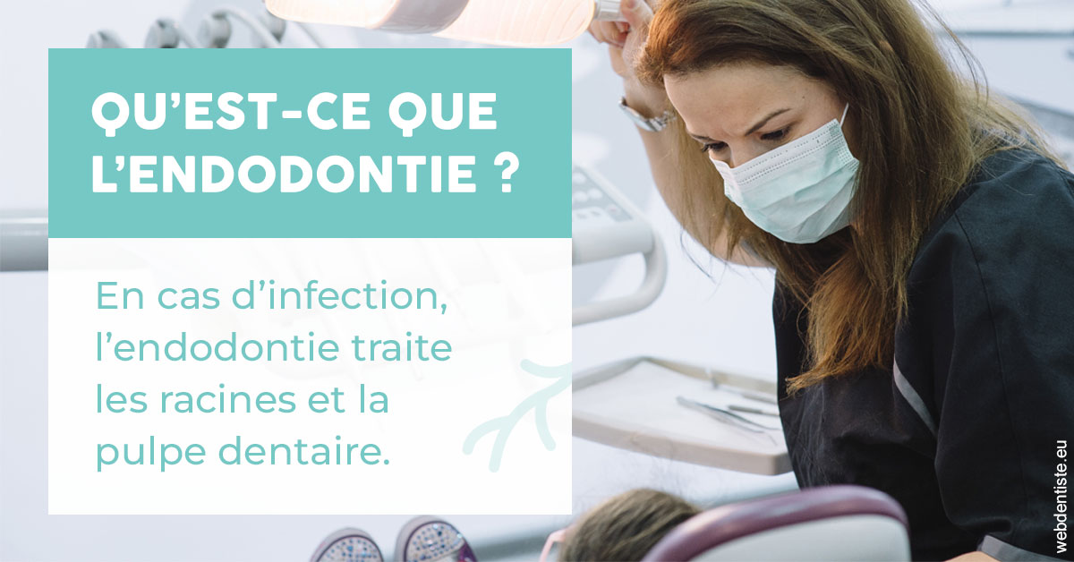 https://www.dentistesmerignac.fr/2024 T1 - Endodontie 01