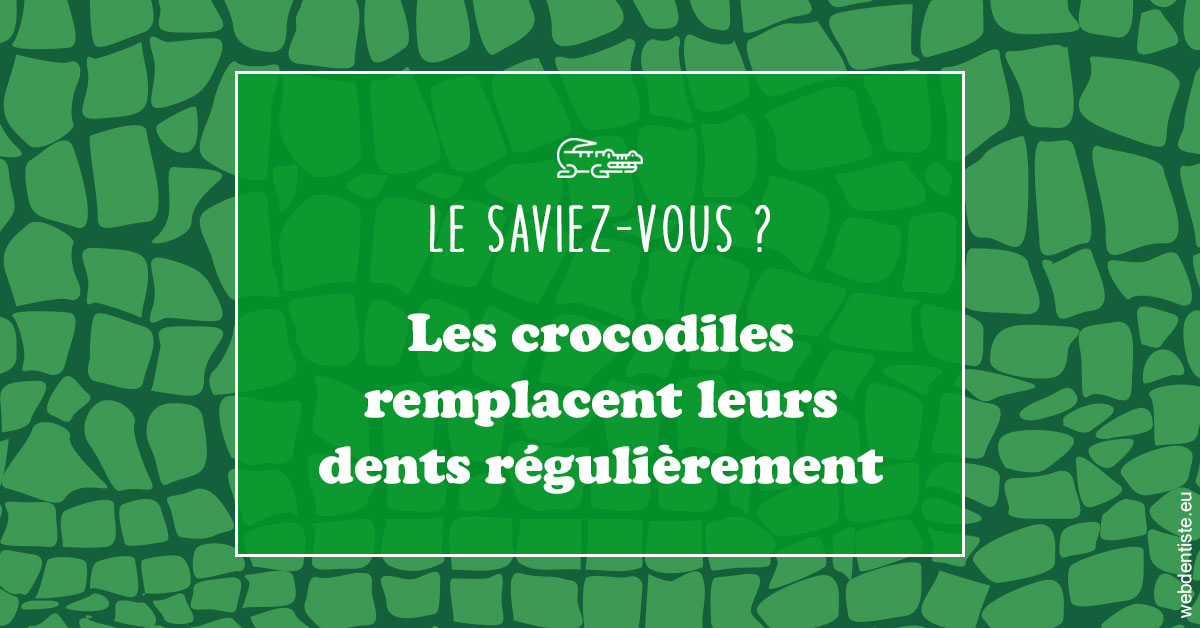 https://www.dentistesmerignac.fr/Crocodiles 1